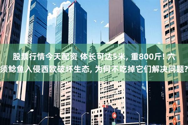 股票行情今天配资 体长可达5米, 重800斤! 六须鲶鱼入侵西欧破坏生态, 为何不吃掉它们解决问题?
