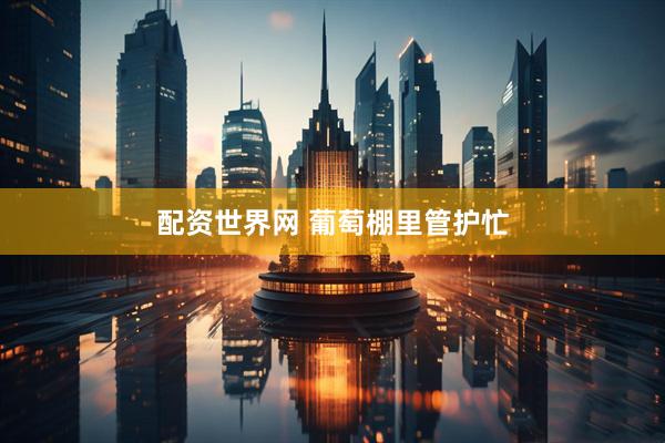 配资世界网 葡萄棚里管护忙